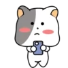 GrAy WhItE CaT 8