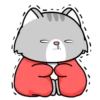 Lovely Grey Cat .MOV 8