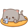 mochi peach cats for male 1 11
