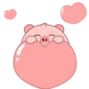 PIG 2 .MOV 9