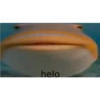 Random Shit Part 1 13