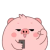 PIG 2 .MOV 11