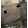 Random Shit Part 1 14