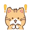 Cat Lemon's daily life .MOV 11