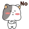 GrAy WhItE CaT 12