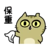 Sinko the Cat: Meow Meow 11