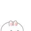Adorable Rabbit .MOV 9