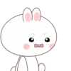 Adorable Rabbit .MOV 11