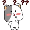GrAy WhItE CaT 14