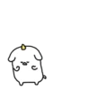 Cachorro unicórnio 14