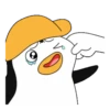 ️ Pingüinos gorra 1 MOV 12