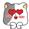 GrAy WhItE CaT 15
