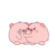 PIG 2 .MOV 13