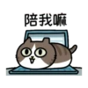 Sinko the Cat: Meow Meow 13
