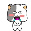 GrAy WhItE CaT 16