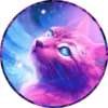 Gatitos⁂1 Movi 20