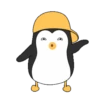 ️ Pingüinos gorra 2   MOV 13