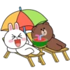️BROWN & CONY SUMMER LOVER MOV. 15