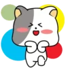 GrAy WhItE CaT 17