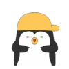 ️ Pingüinos gorra 2   MOV 15