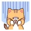 Cat Lemon's daily life .MOV 15