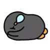Cute duck 11