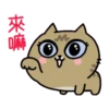 Sinko the Cat: Meow Meow 15