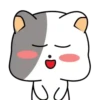 GrAy WhItE CaT 18