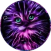 Gatitos⁂1 Movi 24