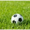 ️Futbol1 ️ 20