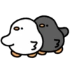 Cute duck 13