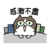 Sinko the Cat: All Cats Animated 17