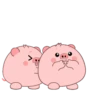 PIG 2 .MOV 17