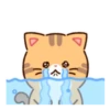 Cat Lemon's daily life .MOV 19