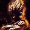 dragon ball 20