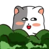 GrAy WhItE CaT 19