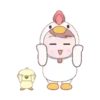 BoYs ChIcKeN 19