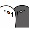 Cute duck 15