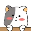 GrAy WhItE CaT 20
