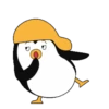 ️ Pingüinos gorra 1 MOV 18