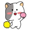 GrAy WhItE CaT 21