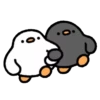 Cute duck 16
