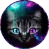 Gatitos⁂1 Movi 28