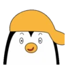 ️ Pingüinos gorra 1 MOV 20