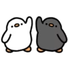 Cute duck 19