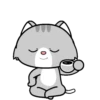 Lovely Grey Cat .MOV 22