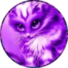 Gatitos⁂1 Movi 29
