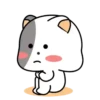 GrAy WhItE CaT 23