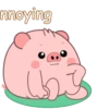 PIG 2 .MOV 22