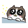 Sinko the Cat: Meow Meow 21